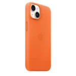 apple case